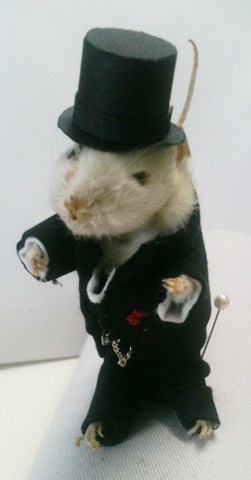 mouse.front_2.jpg